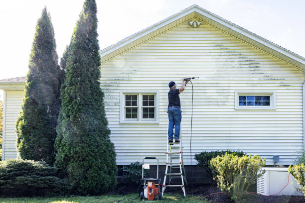 Best Patio and Deck Pressure Washing  in Batavia, OH